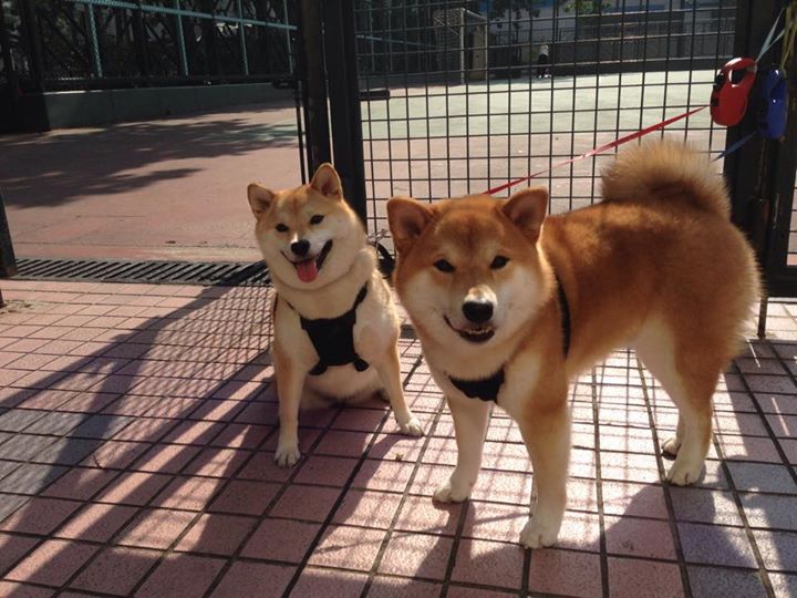 曼城关键战突围巴黎，坎特成为关键先生