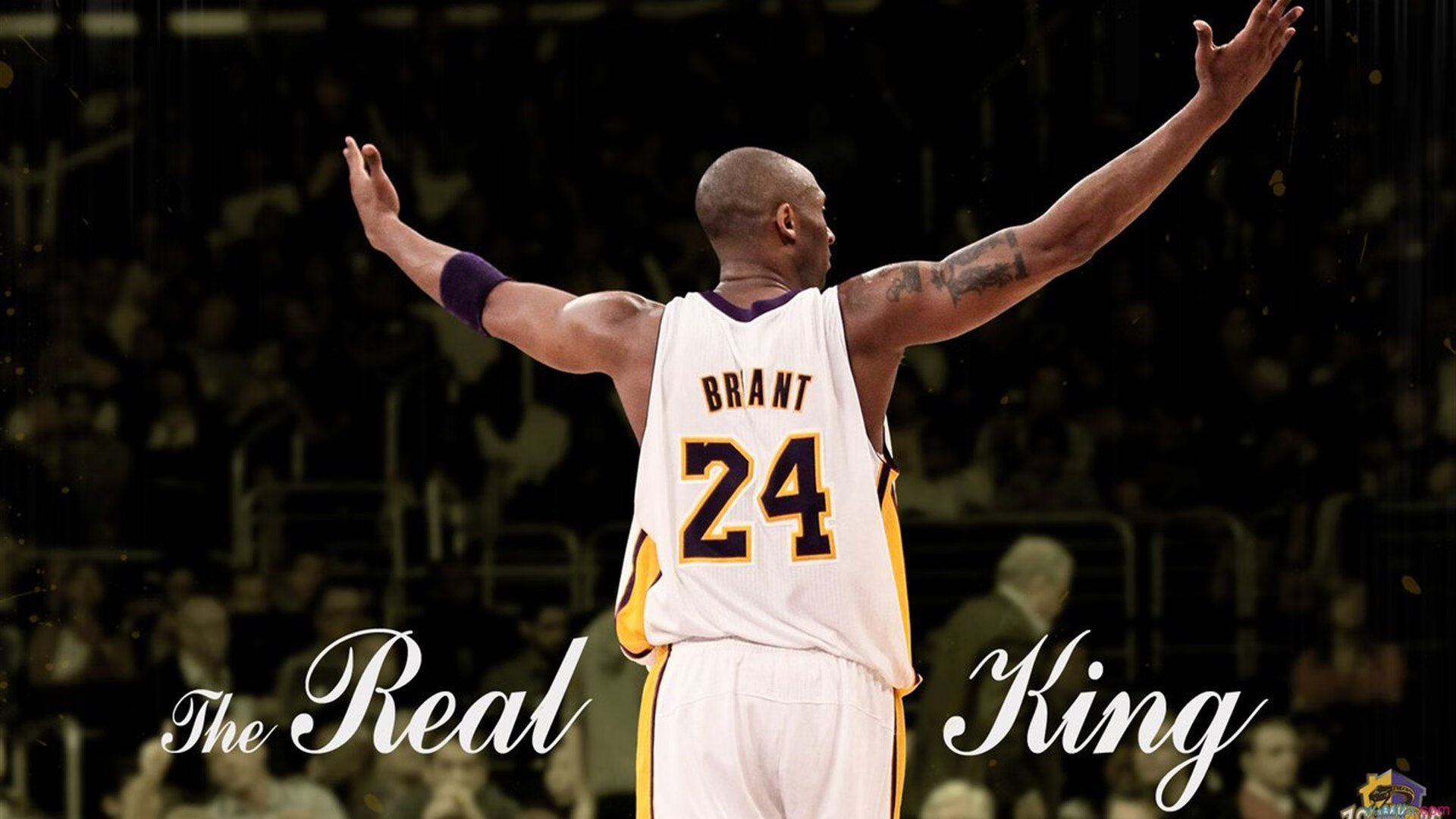 橙色风暴席卷北非雄狮，布雷默持续杀伤成荷兰一波带走摩洛哥的关键变量